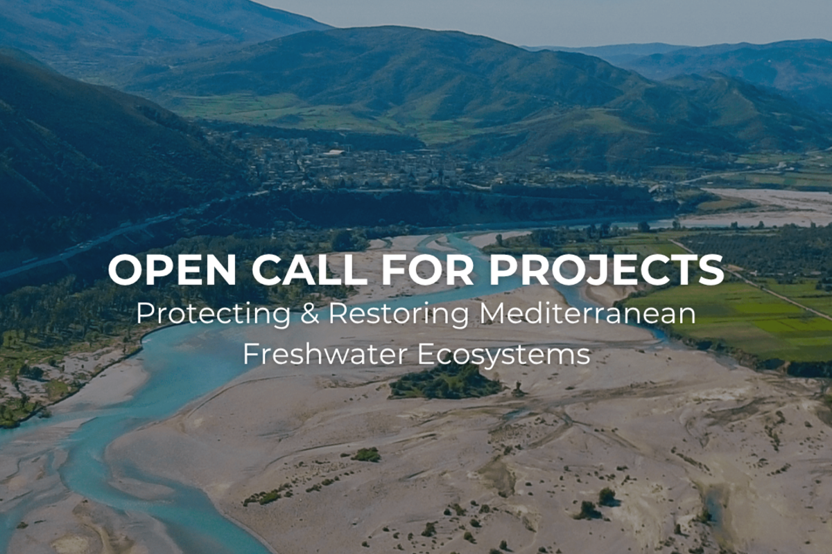 Lancement de l’appel à projets 2025 – Donors’ Initiative for Mediterranean Freshwater Ecosystems (DIMFE)