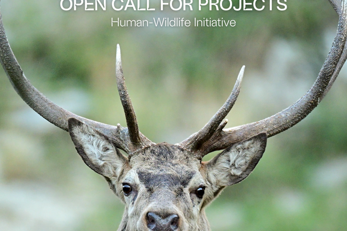 Lancement de l'appel à projet 2025 de l'Initiative Homme - Faune sauvage