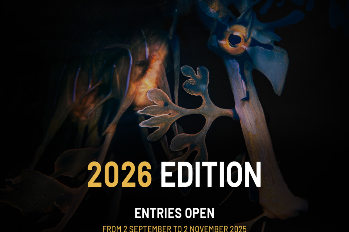 La Fondation Prince Albert II de Monaco lance le concours de son Prix de Photographie Environnementale 2026
