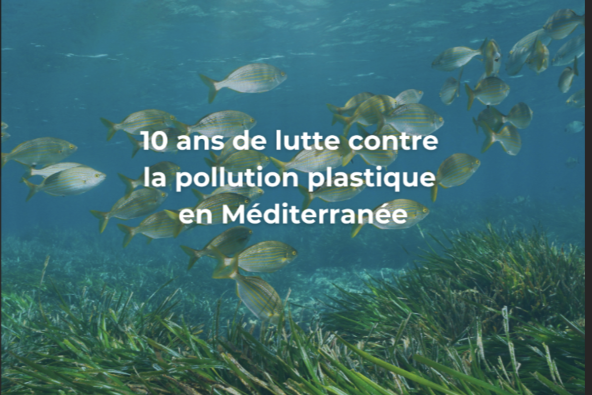 BeMed célèbre ses 10 ans de lutte contre la pollution plastique en Méditerranée