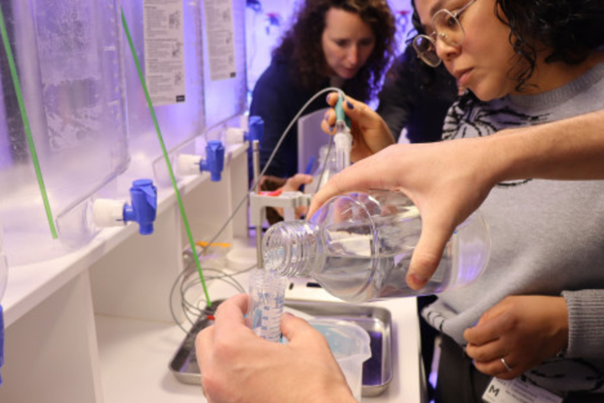 L’AIEA organise une formation sur les impacts biologiques de l’amélioration de l’alcalinité des océans